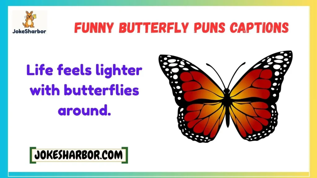 Funny Butterfly Puns Captions