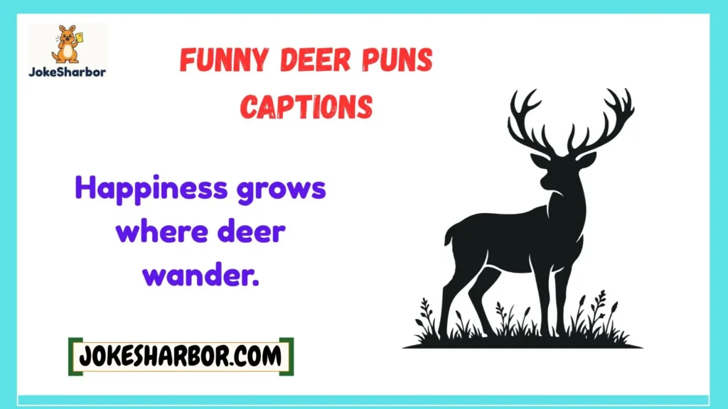 Funny Deer Puns Captions