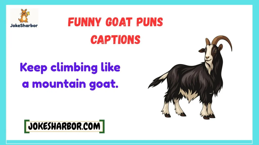 Funny Goat Puns Captions