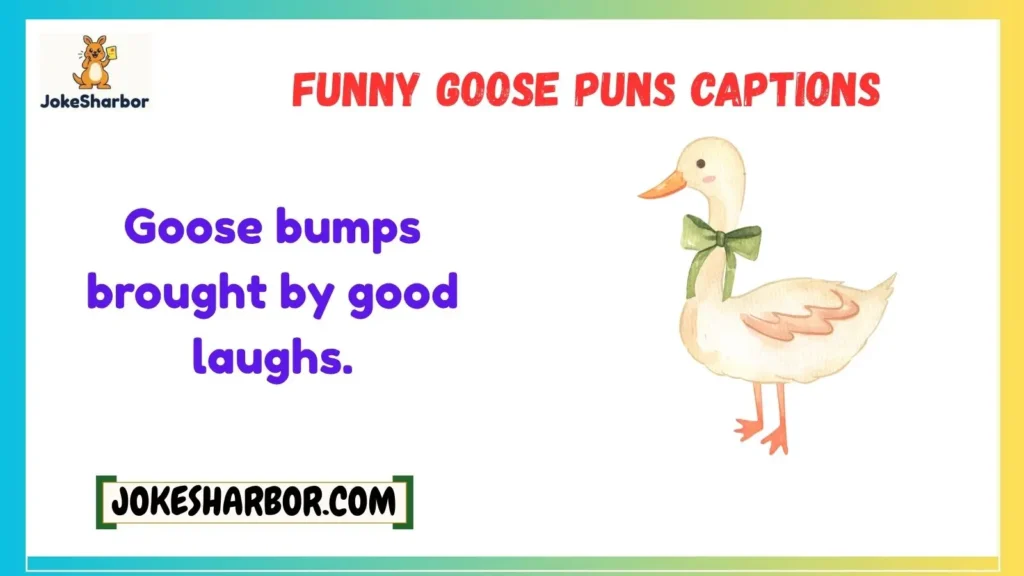 Funny Goose Puns Captions