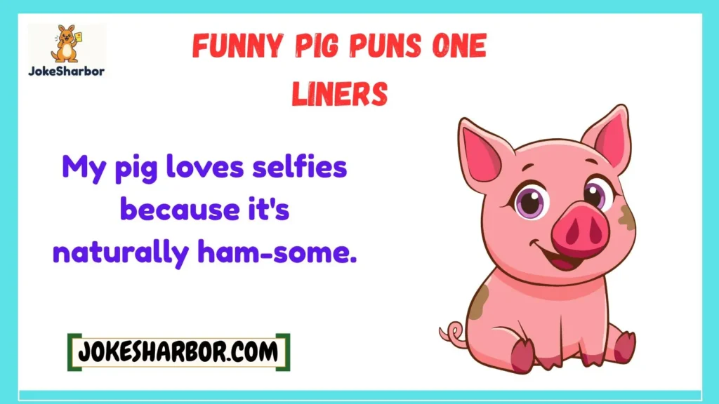 Funny Pig Puns One Liners