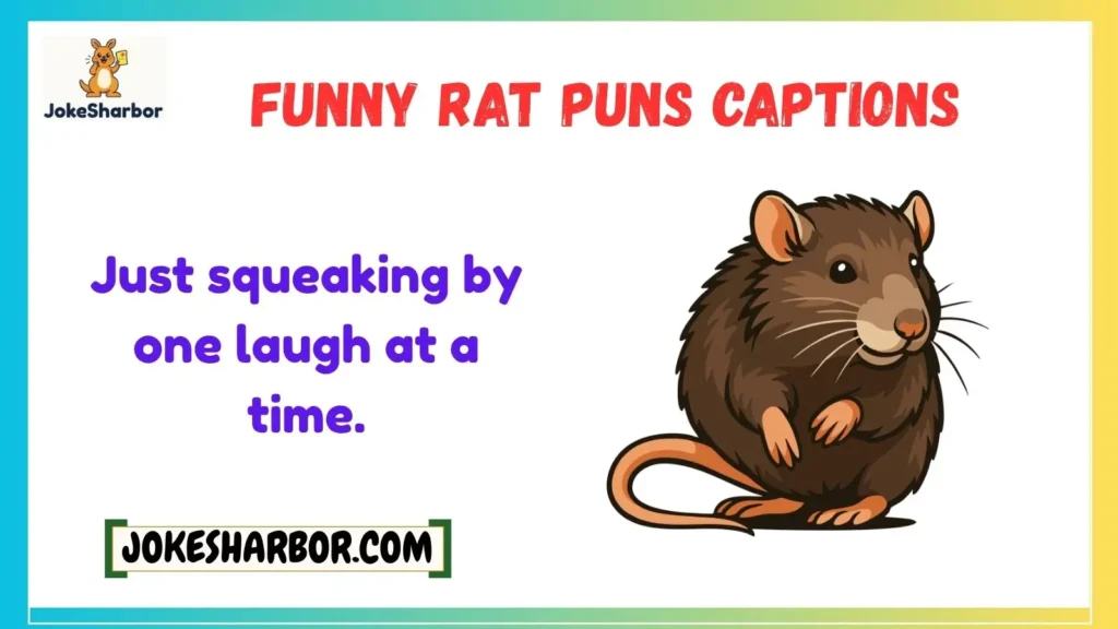Funny Rat Puns Captions