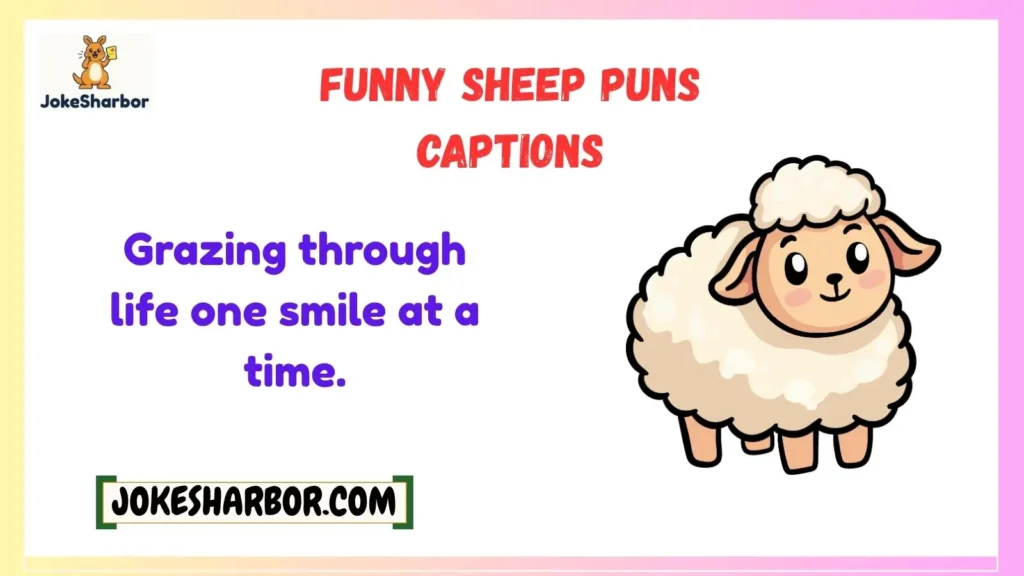 Funny Sheep Puns Captions
