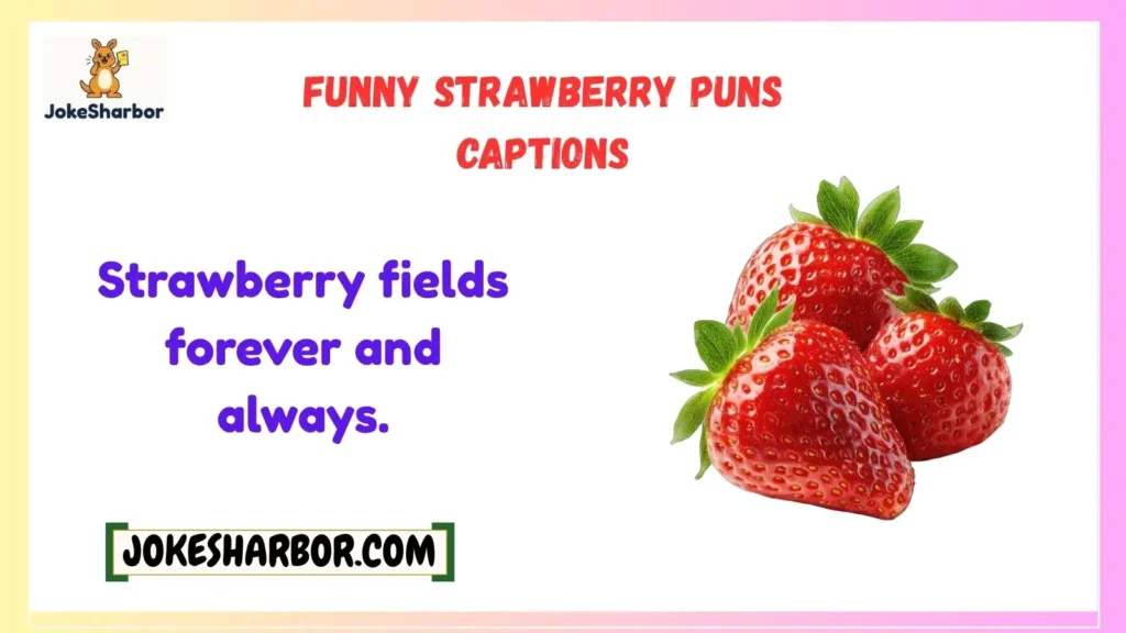 Funny Strawberry Puns Captions