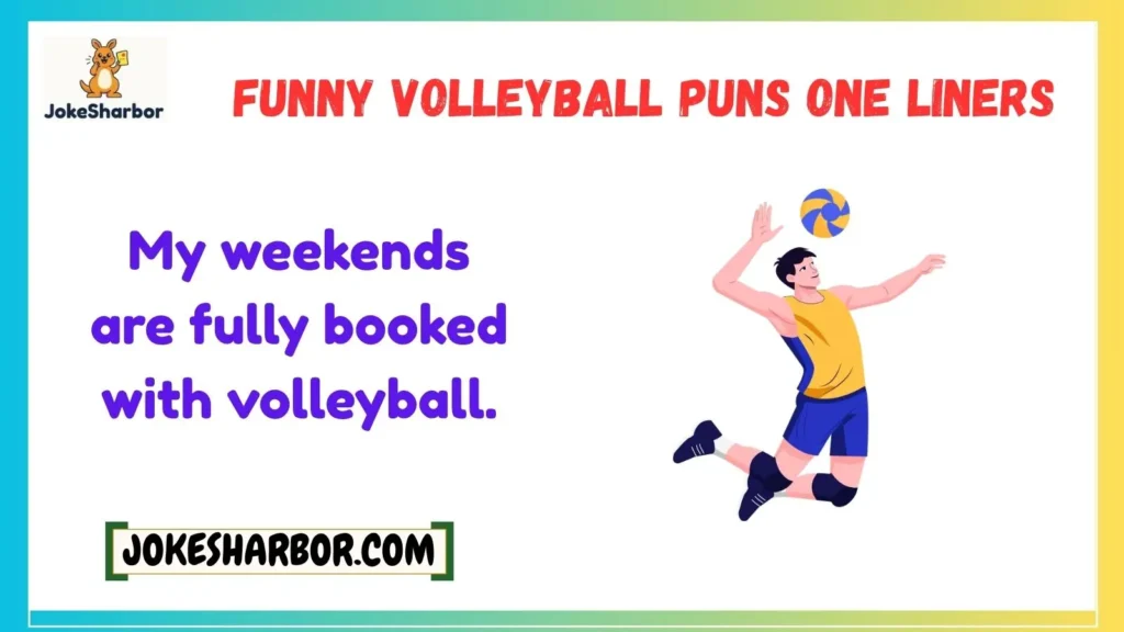 Funny Volleyball Puns One Liners