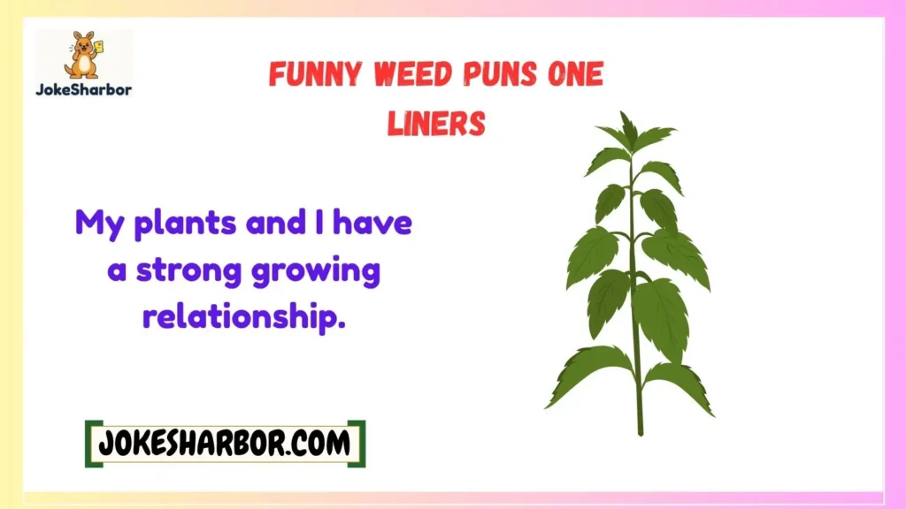 Funny Weed Puns One Liners