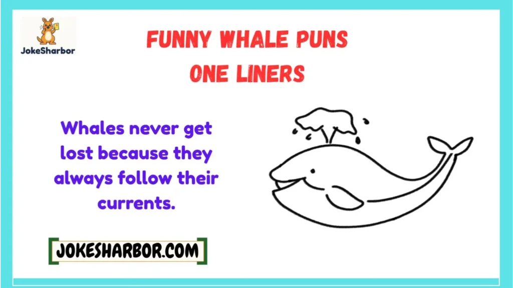 Funny Whale Puns One Liners