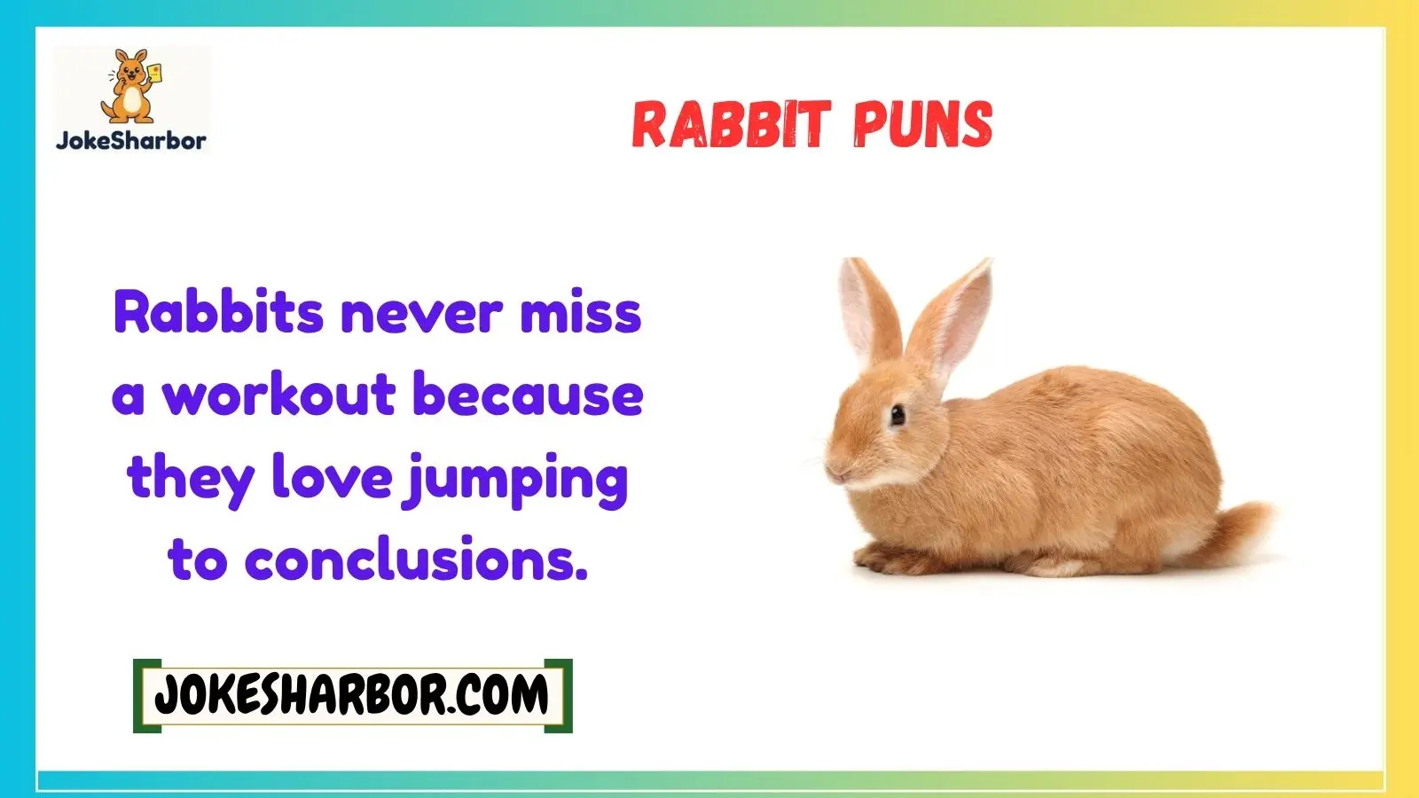 rabbit puns
