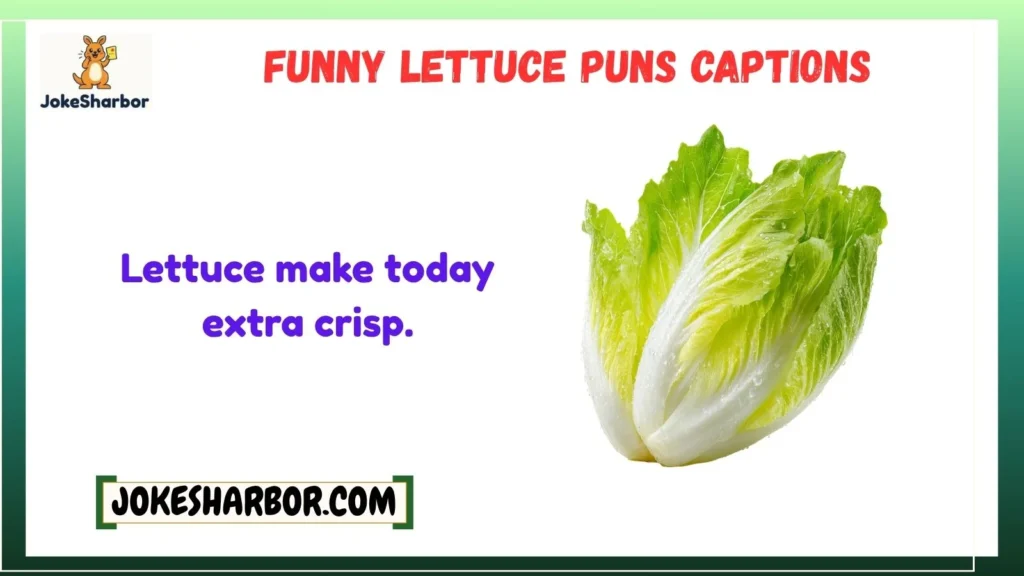 Funny Lettuce Puns Captions