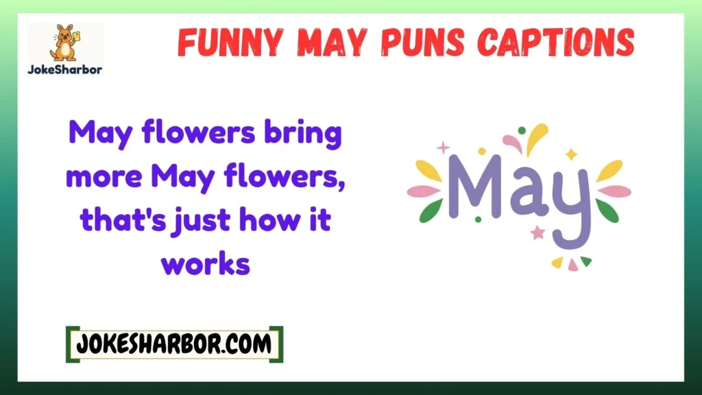 Funny May Puns Captions