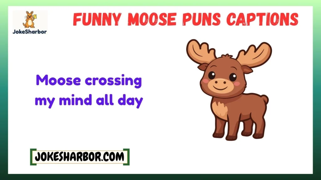 Funny Moose Puns Captions
