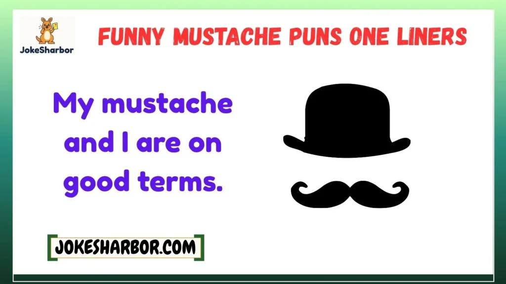 Funny Mustache Puns One Liners