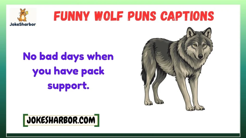 Funny Wolf Puns Captions